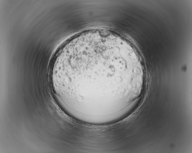 X0000115010779200912071203