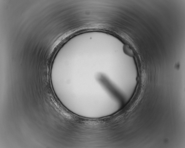 X0000115010781200912071203