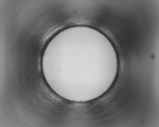 X0000115010782200912071203