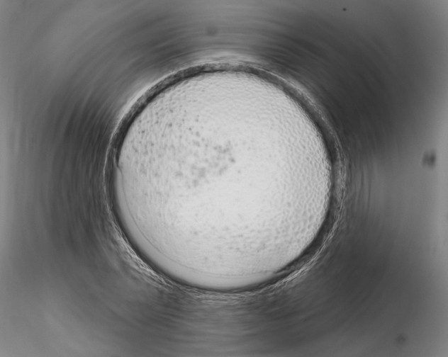 X0000115010783200912071203