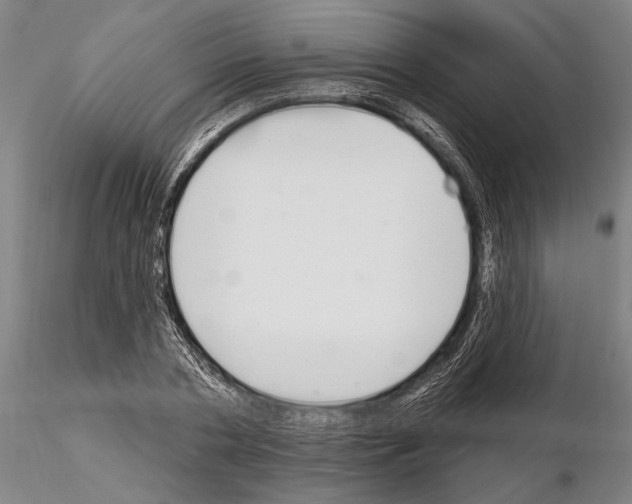X0000115010786200912071203