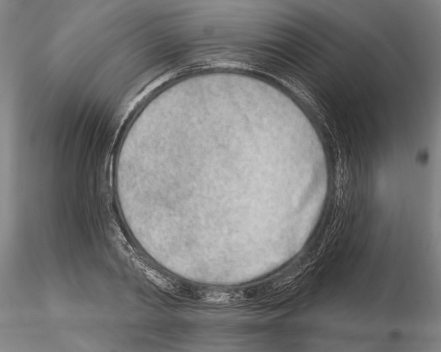X0000115010790200912071203