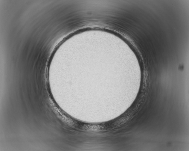 X0000115010791200912071203