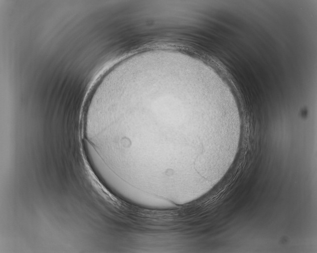 X0000115010795200912071203