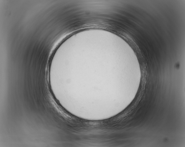X0000115010796200912071203
