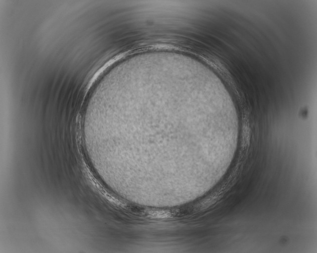 X0000115010798200912071203
