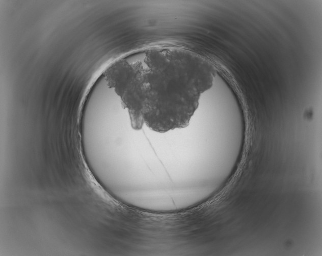 X0000115010800200912071203