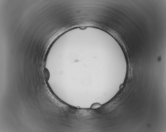 X0000115010805200912071203