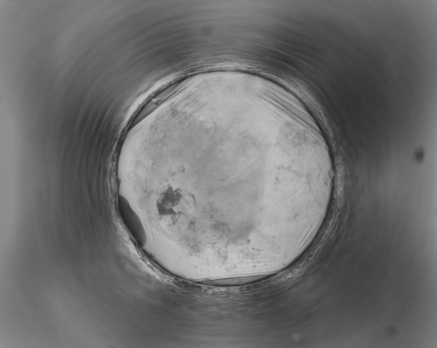 X0000115010806200912071203