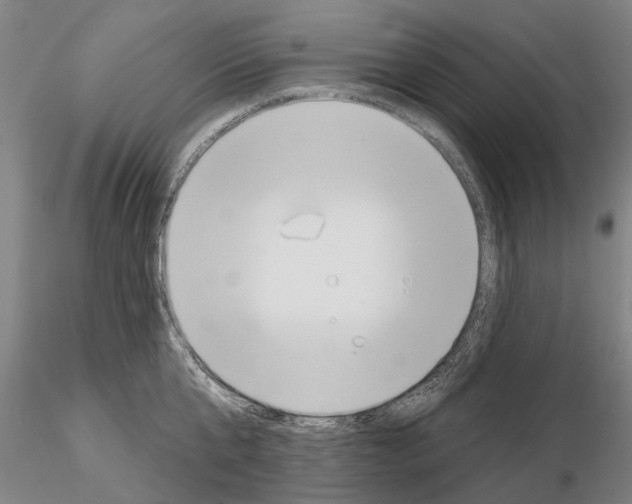 X0000115010807200912071203