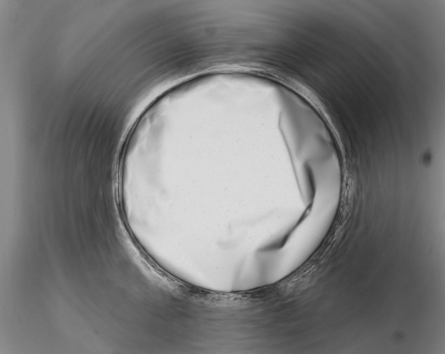 X0000115010811200912071202