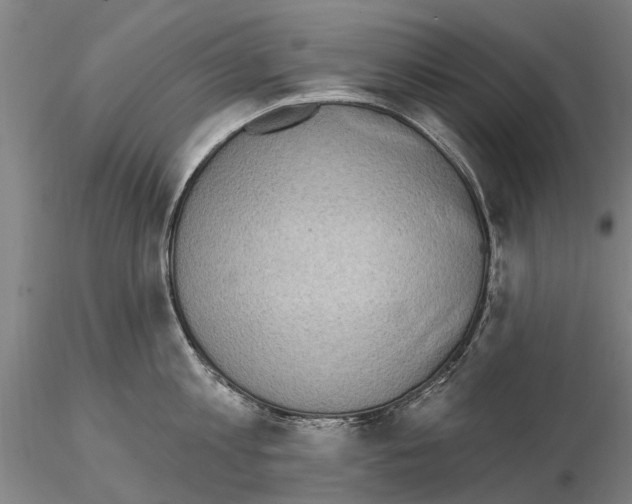 X0000115010813200912071202