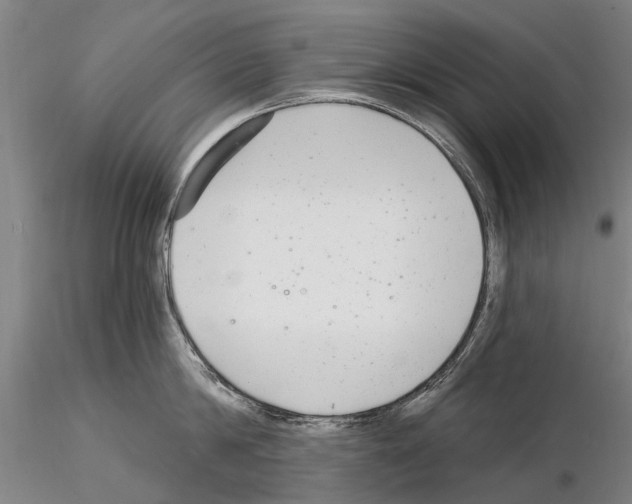 X0000115010814200912071202