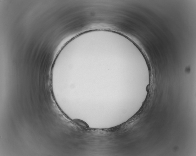 X0000115010815200912071202