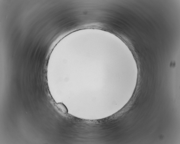 X0000115010816200912071202