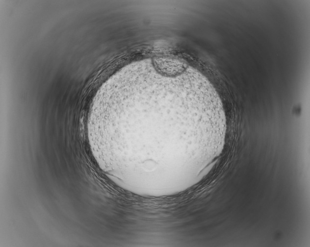 X0000115010818200912071202