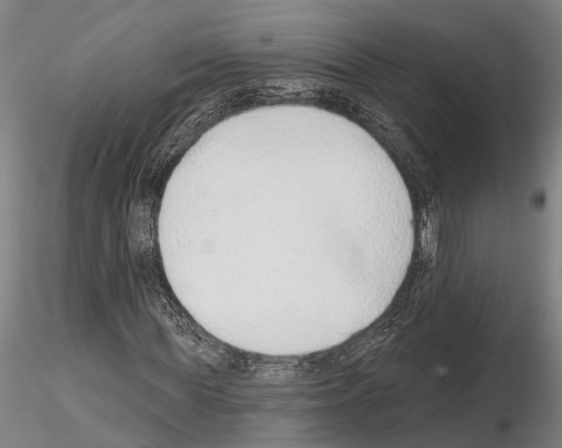 X0000115010819200912071202