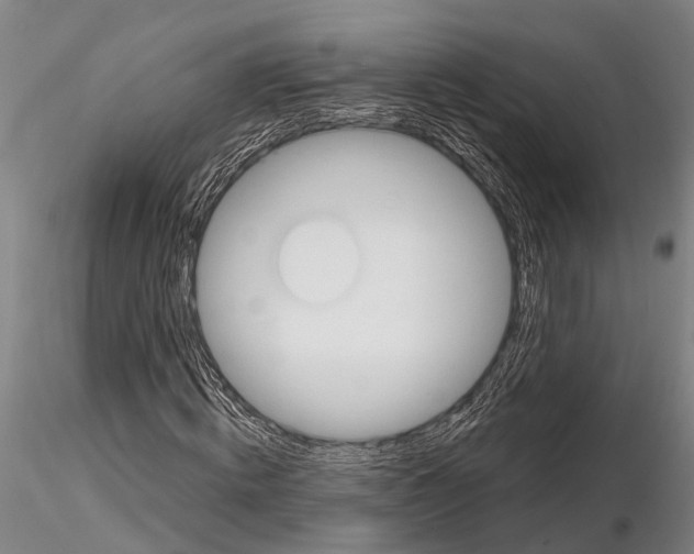 X0000115010820200912071202