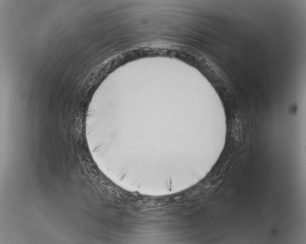 X0000115010821200912071202
