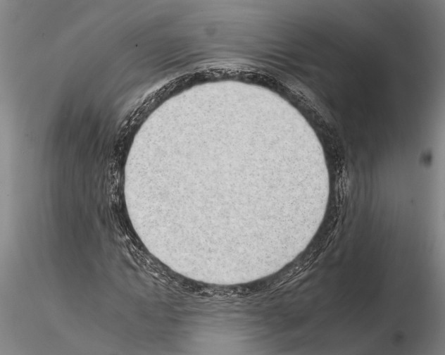 X0000115010822200912071202