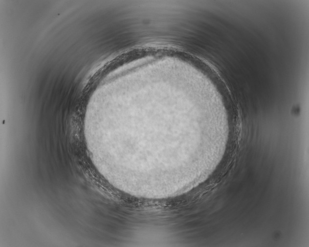X0000115010823200912071202