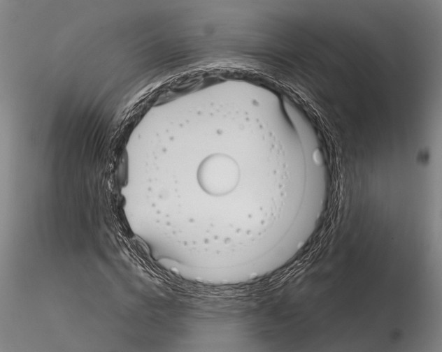 X0000115010824200912071202