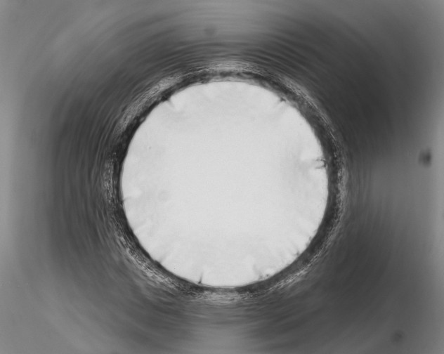 X0000115010825200912071202