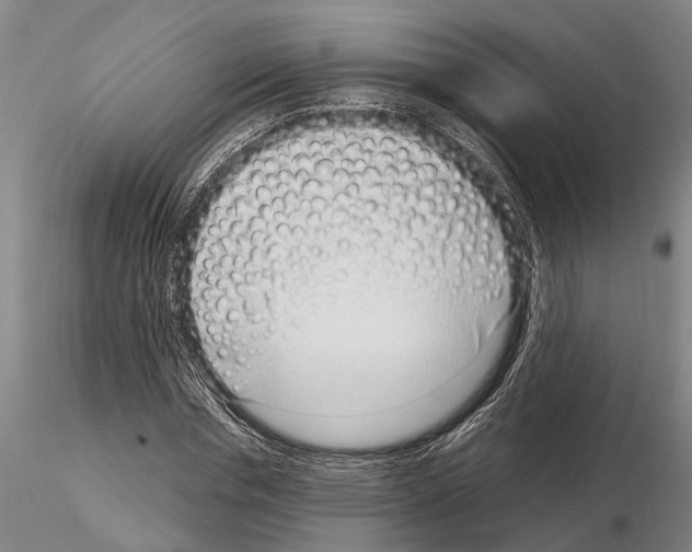 X0000115010826200912071202