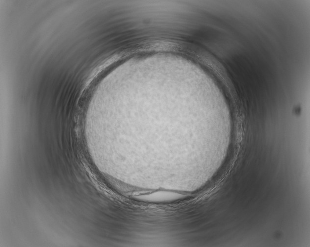 X0000115010827200912071202