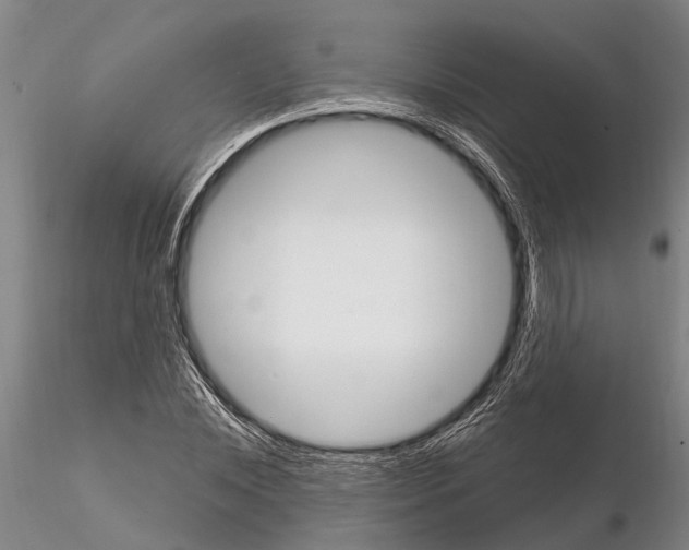 X0000115010828200912071202