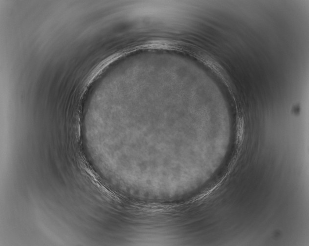 X0000115010829200912071202