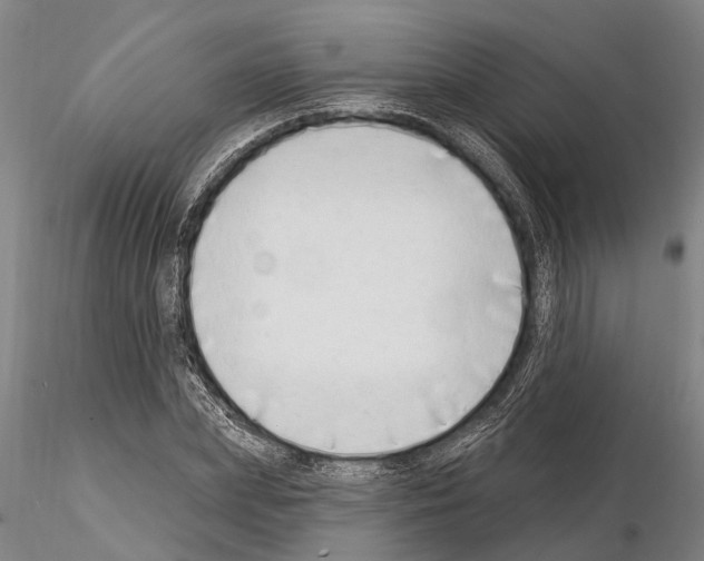 X0000115010831200912071202