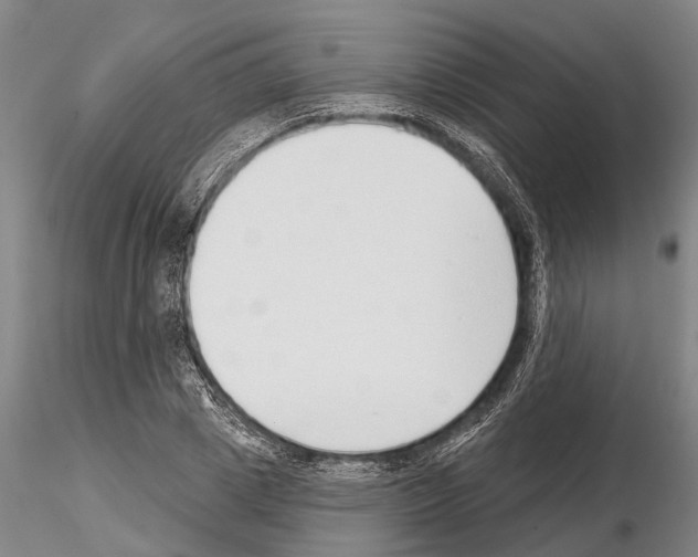 X0000115010833200912071202