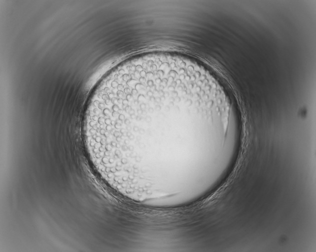 X0000115010834200912071202