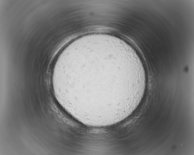 X0000115010835200912071202
