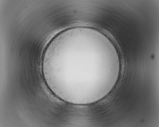 X0000115010836200912071202