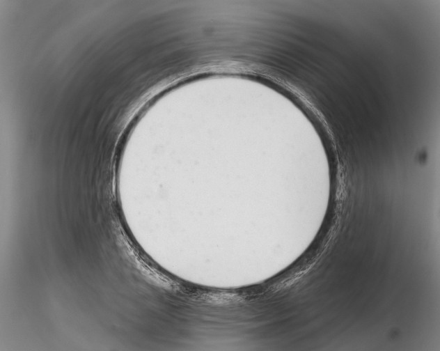 X0000115010837200912071202