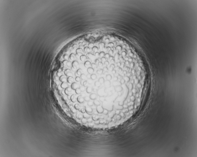 X0000115010838200912071202
