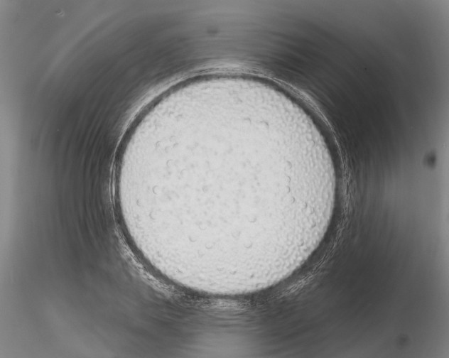 X0000115010839200912071202