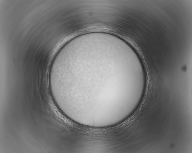 X0000115010840200912071202