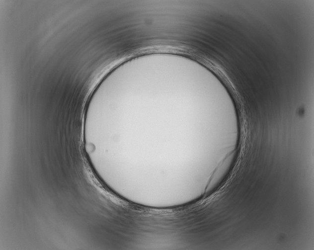 X0000115010844200912071202