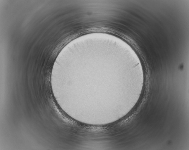 X0000115010849200912071202