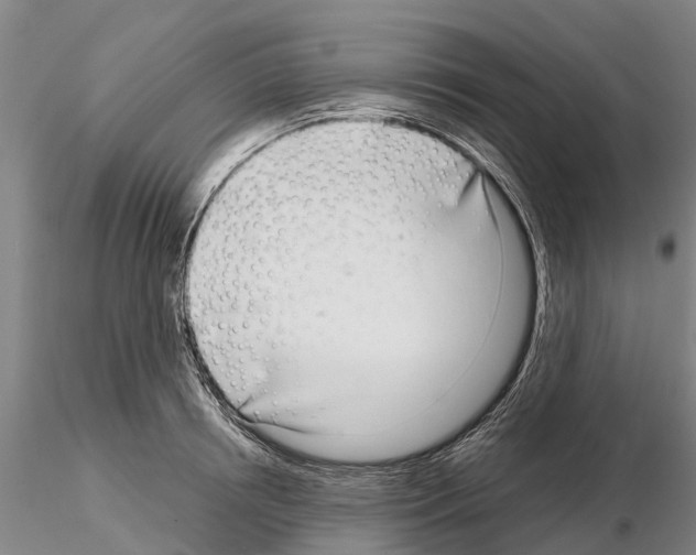 X0000115010850200912071202
