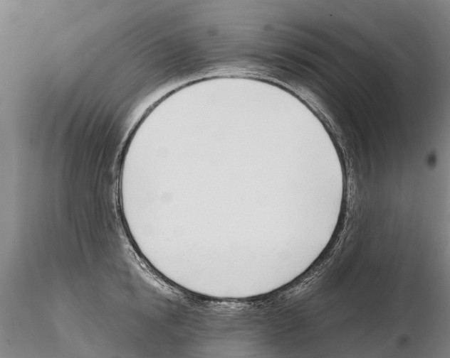 X0000115010854200912071202