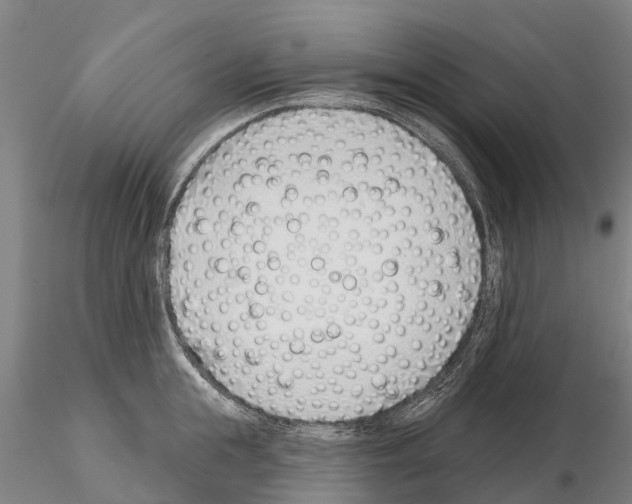 X0000115010855200912071202