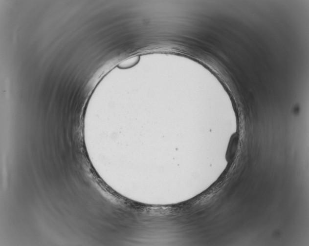 X0000115010858200912071202