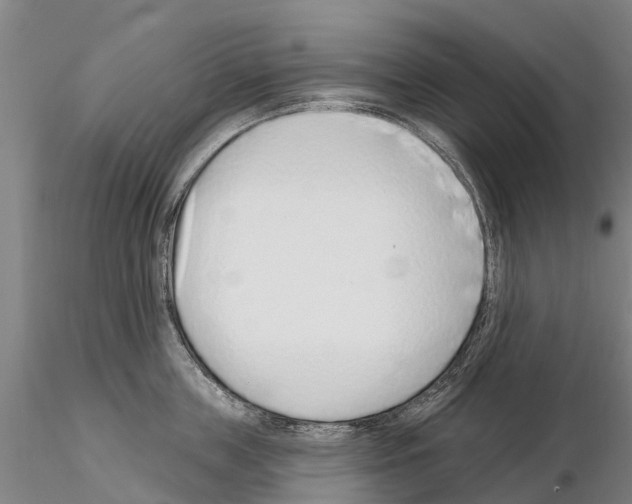 X0000115010859200912071202
