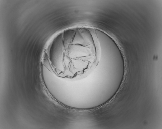 X0000115010864200912071202