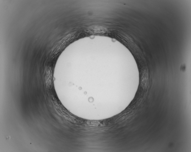 X0000115010866200912071202
