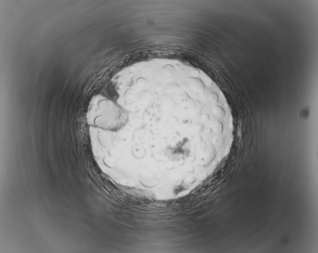 X0000115010867200912071202